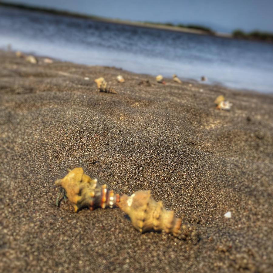 Puerto Barillas Bahia de Jiquilisco Kültér fotó